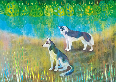 Two Huskies by the River