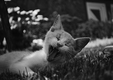 Neverending tiredness