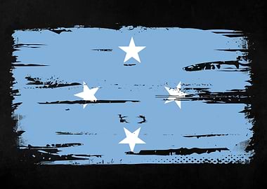 Micronesia Flag