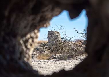 Through the eye of nature