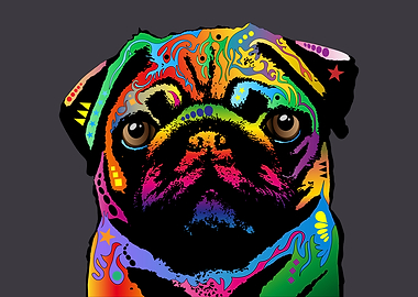 Pug Dog