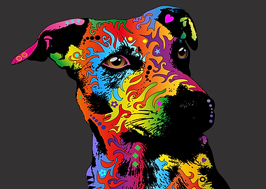 Jack Russell Terrier