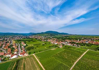 Green field from drone