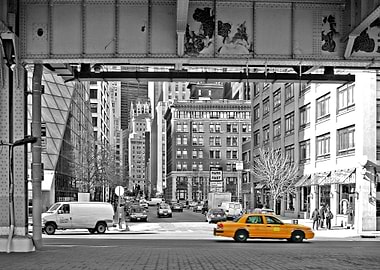 Yellow Cabs Fish Market