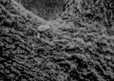 Dew on Leaf BW Design 3