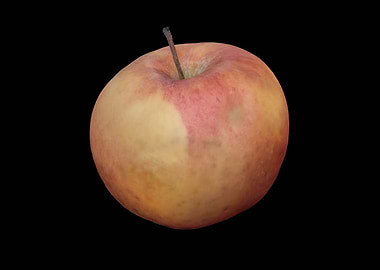 isolated apple for healthy