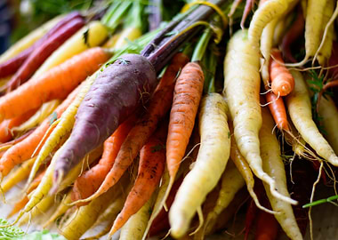 Beautiful Colorful Carrots