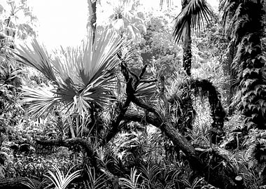 Singa Botanical Garden 2