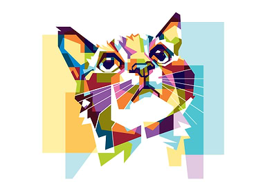 colorful cat hope