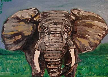 Original wild elephant