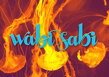 Wabi Sabi and jellyfish