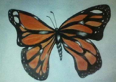 Monarch butterfly