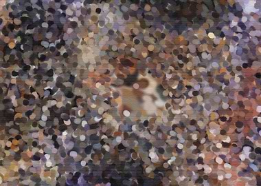 Abstraction Peeping rust