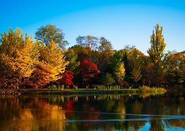 Autumn in Sapporo