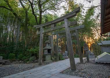 Kyoto Torii Fushimi Inari