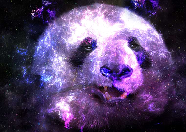 Galaxy Panda Pink Edition