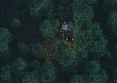 House in forest