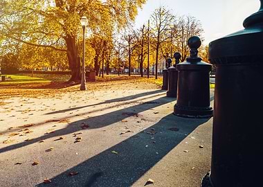 Autumn in Strasbourg