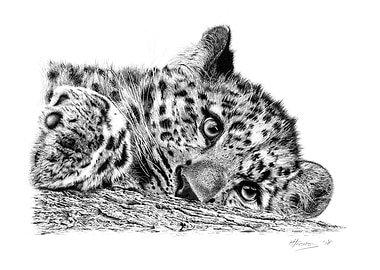 Spot the Indifference