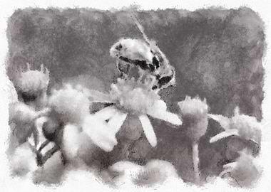 Honey Bee Watercolor