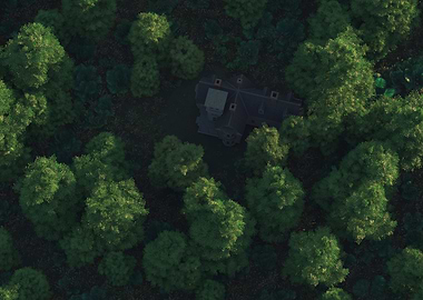 Surrounded by trees
