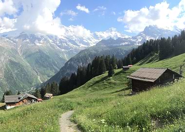 Peaceful Mountain View