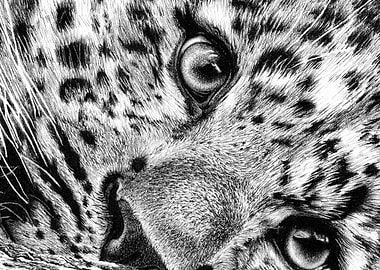 Spot the Indifference