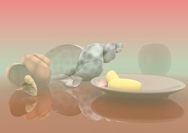 Still Life with seashells