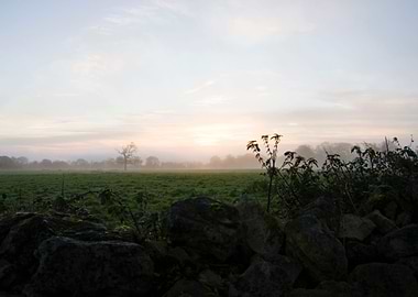 Waiting for the sunrise