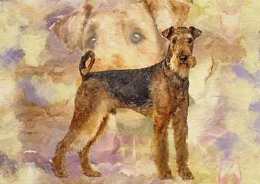 Airedale Terrier