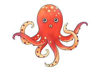 Octopus