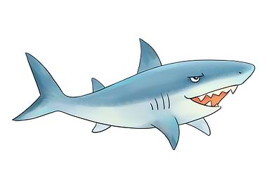 Shark