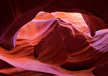 Antelope Canyons