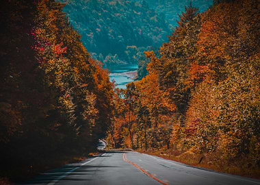 New York another view