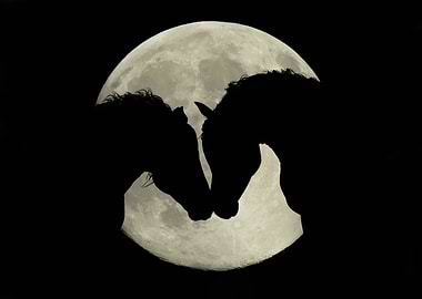 horse love