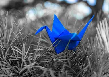 Origami
