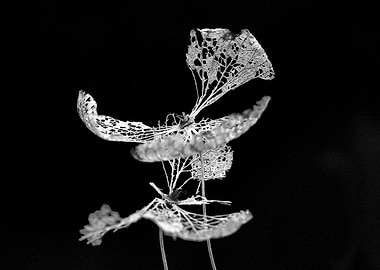 Skeletal Leaf 2