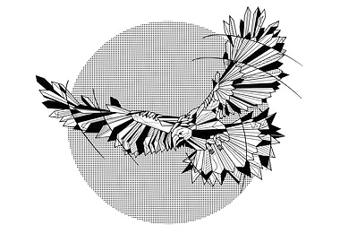 Hawk Geometric