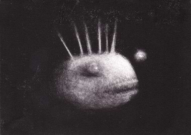 Shining Black Water Fish