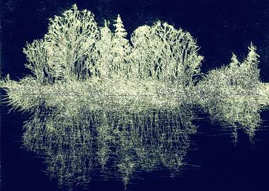 Burning Island on a Lake