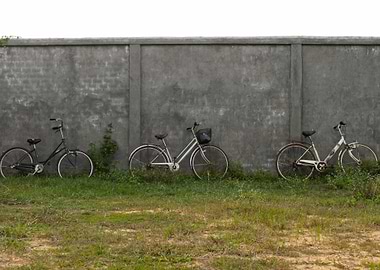 3 Bikes in Siem Reap