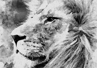Lion Black and White