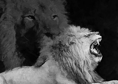 Lion Black and White