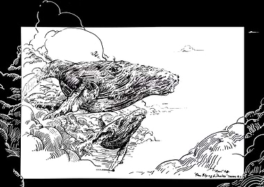 The Flying Whale BW18