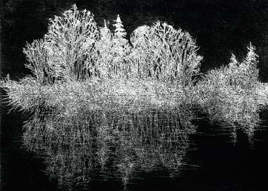 Shining Island on a Lake