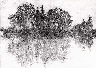 Foggy Island on a Lake