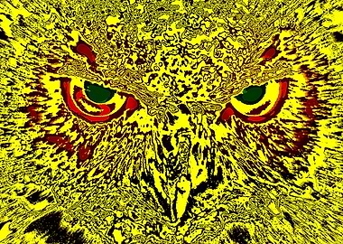 Owls face Number 8