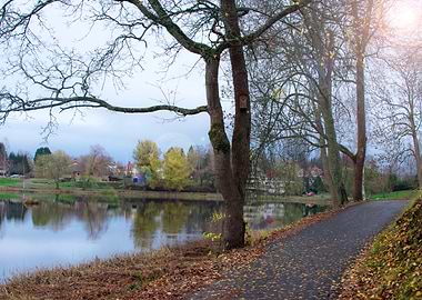 Sunny Autumn day in Sweden
