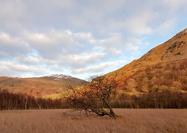 Cumbria nature