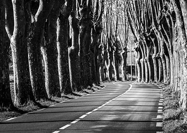 Roads of Provence